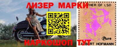 прущие грибы Бийск
