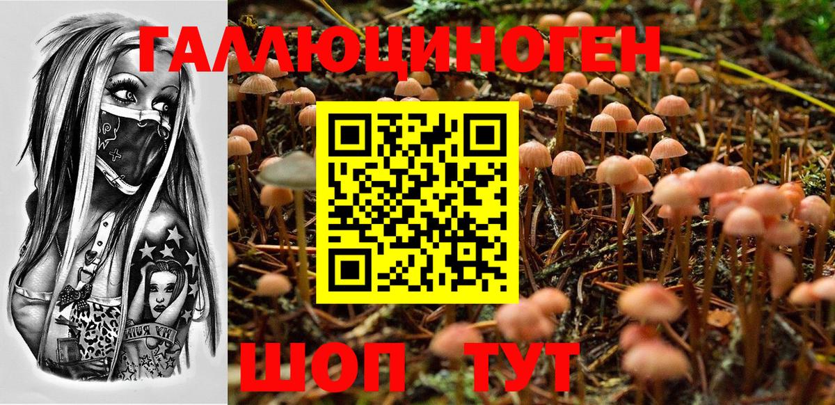 Псилоцибиновые грибы ЛСД Златоуст
